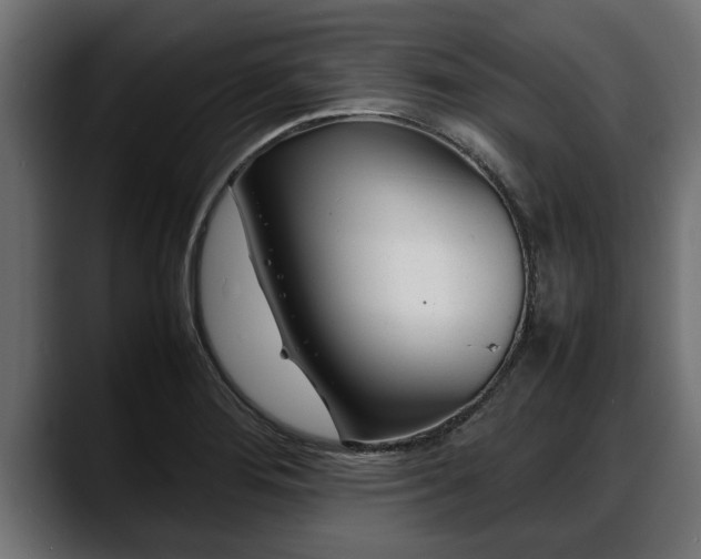 X0000088361276200705291300