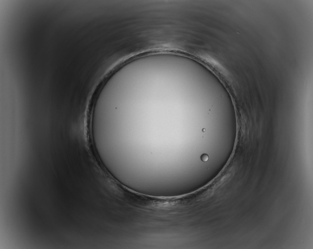 X0000088361278200705291300