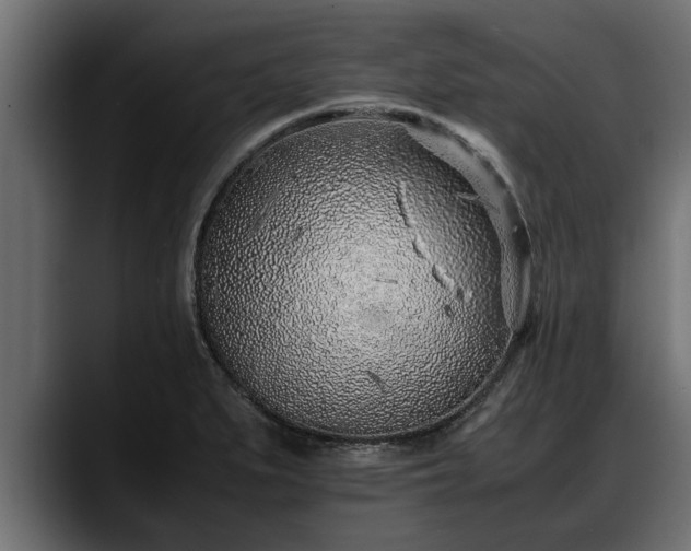 X0000088361279200705291300