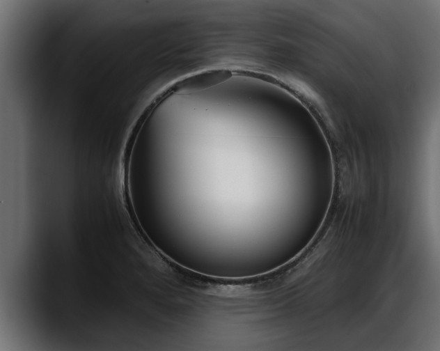 X0000088361280200705291300