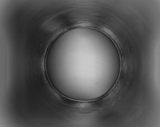 X0000088361282200705291300