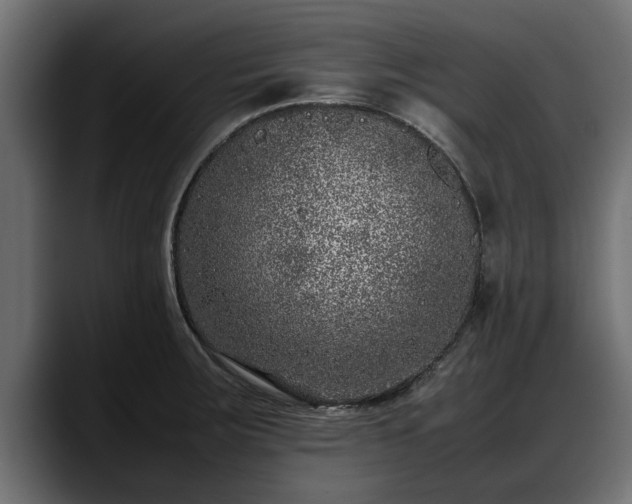 X0000088361283200705291300