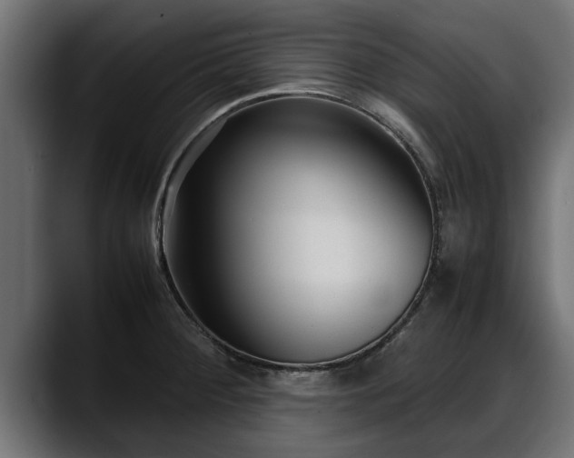 X0000088361284200705291300