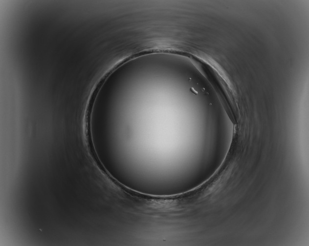 X0000088361285200705291300