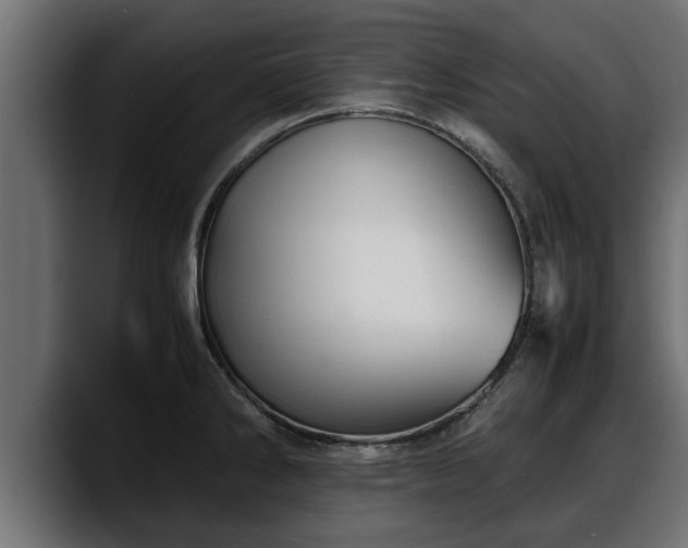 X0000088361286200705291300