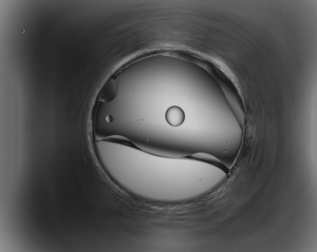 X0000088361287200705291300