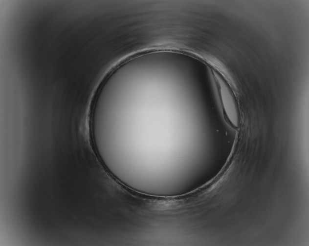 X0000088361288200705291300