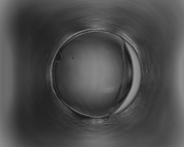 X0000088361291200705291300