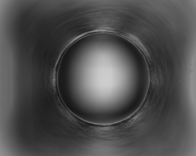 X0000088361292200705291300