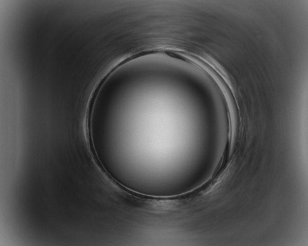 X0000088361293200705291300