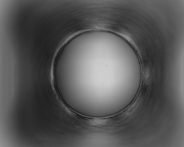 X0000088361294200705291300