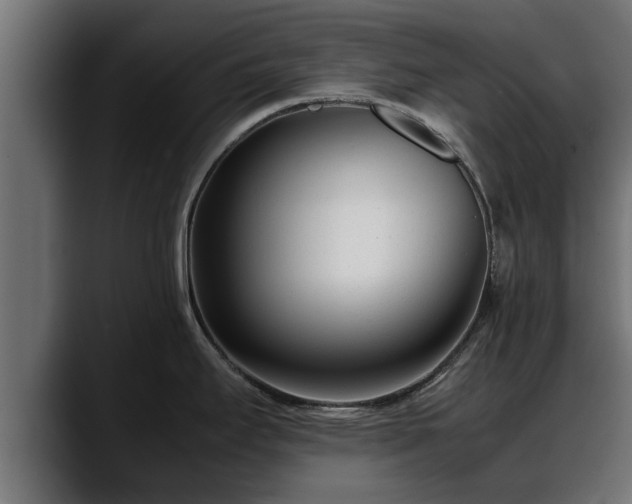 X0000088361295200705291300