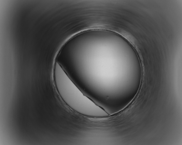 X0000088361296200705291300