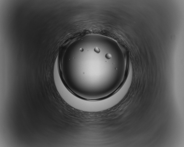 X0000088361298200705291259