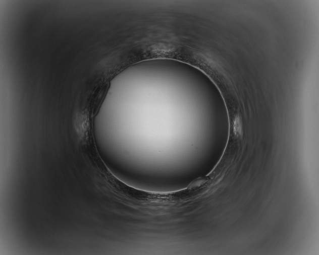 X0000088361299200705291259