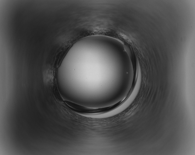 X0000088361300200705291259