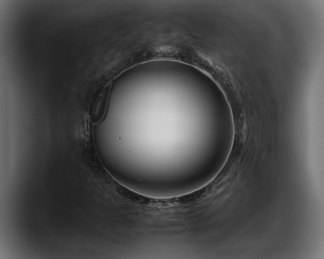 X0000088361301200705291259