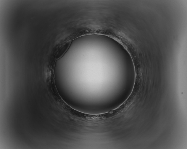 X0000088361302200705291259