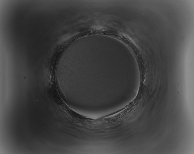 X0000088361303200705291259