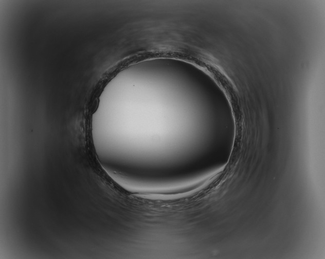 X0000088361304200705291259