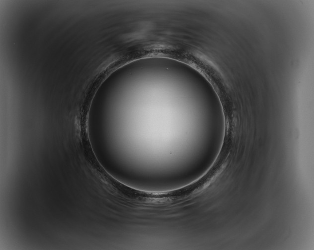 X0000088361305200705291259