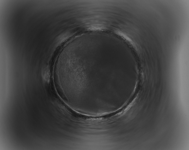 X0000088361306200705291259