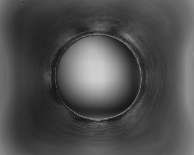 X0000088361307200705291259