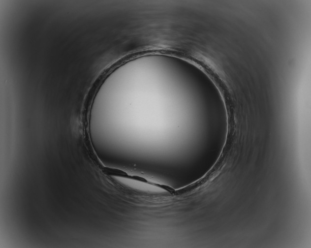 X0000088361308200705291259