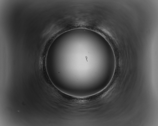 X0000088361309200705291259