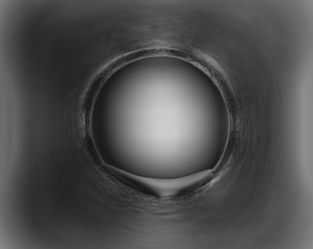 X0000088361310200705291259