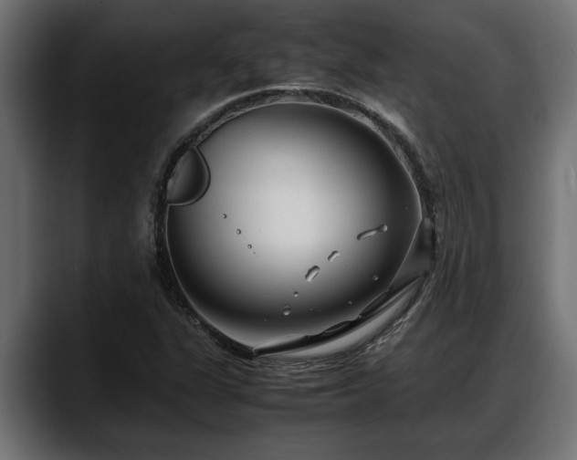 X0000088361311200705291259