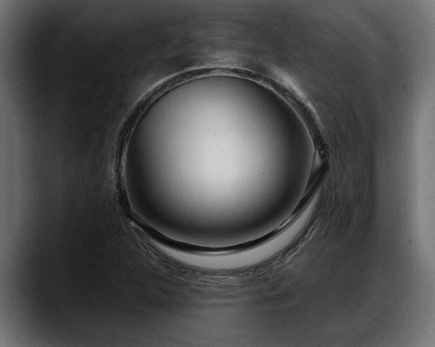 X0000088361312200705291259