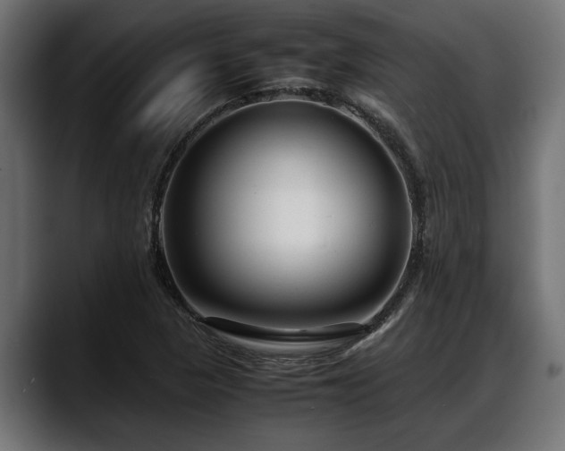 X0000088361313200705291259