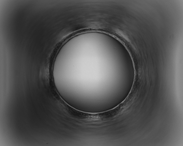 X0000088361315200705291259