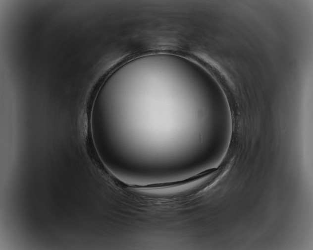 X0000088361317200705291259