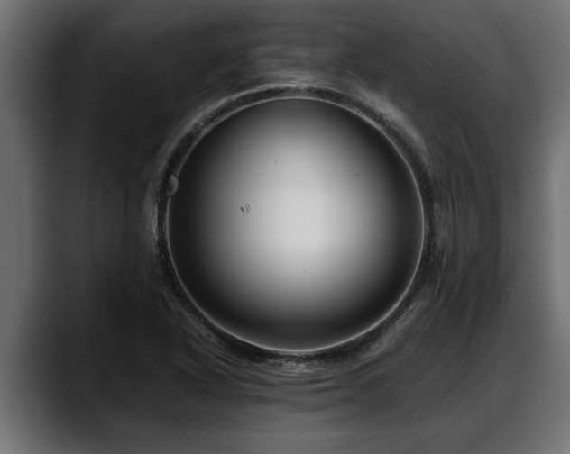 X0000088361318200705291259