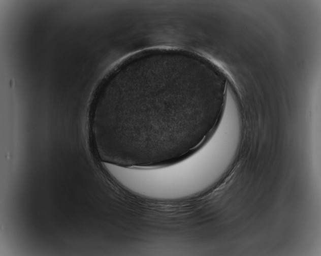 X0000088361319200705291259