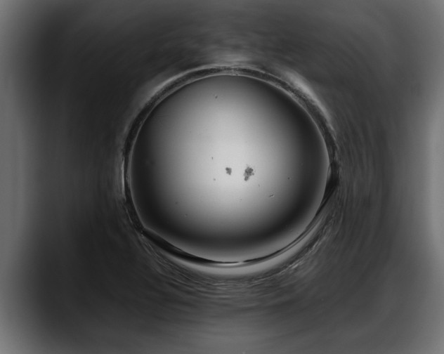 X0000088361320200705291259