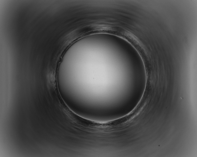 X0000088361321200705291259