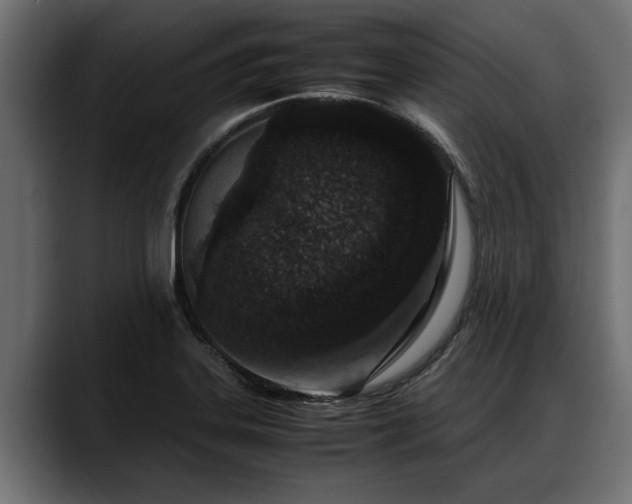 X0000088361323200705291259