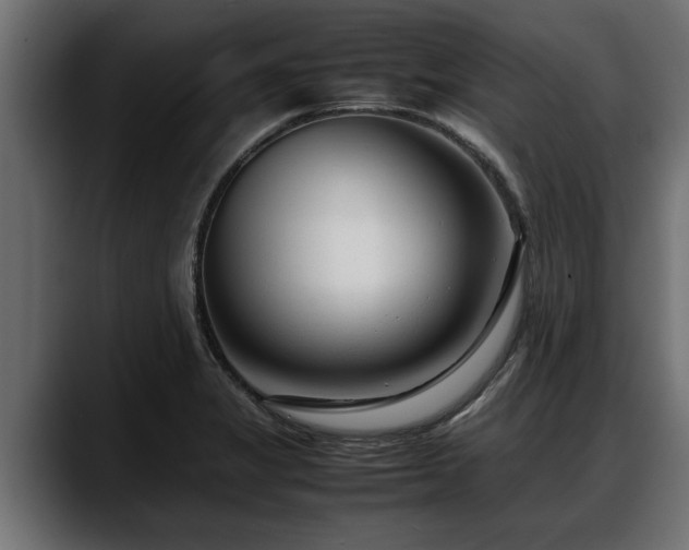 X0000088361325200705291259