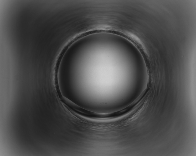 X0000088361326200705291259