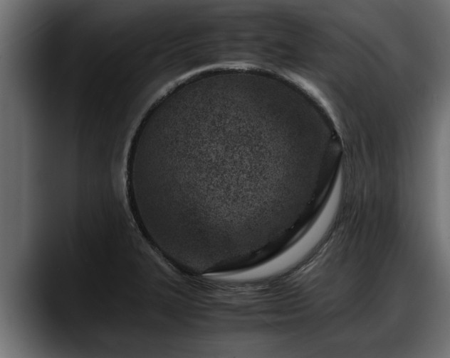 X0000088361327200705291259