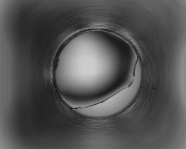 X0000088361328200705291259