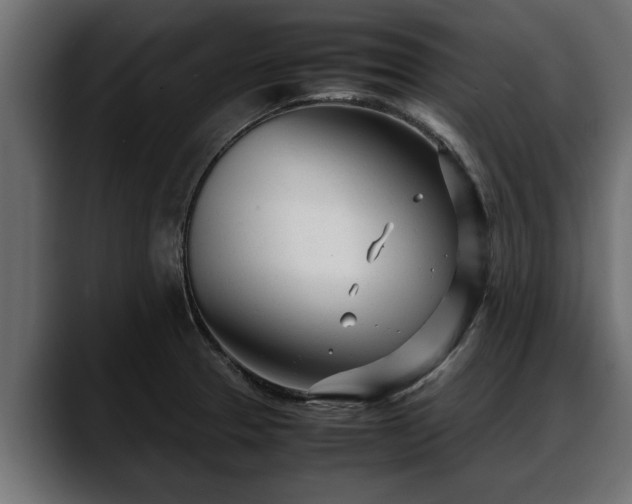 X0000088361329200705291259