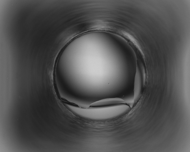 X0000088361330200705291259