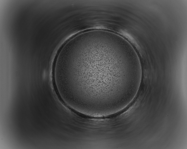 X0000088361331200705291259