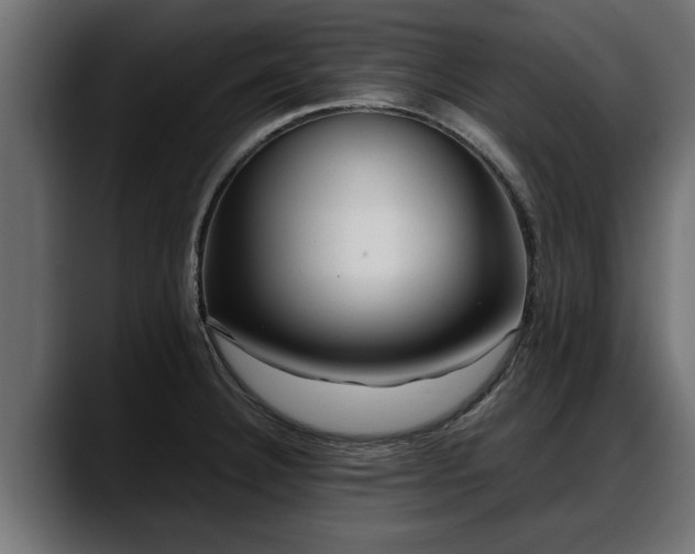 X0000088361332200705291259