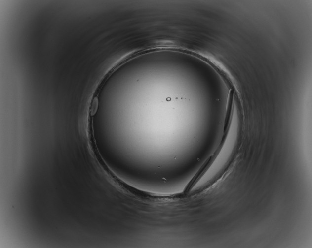 X0000088361333200705291259