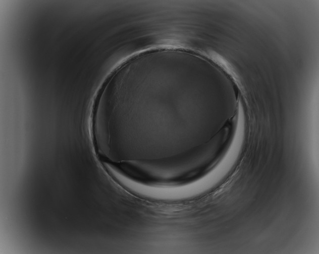 X0000088361334200705291259